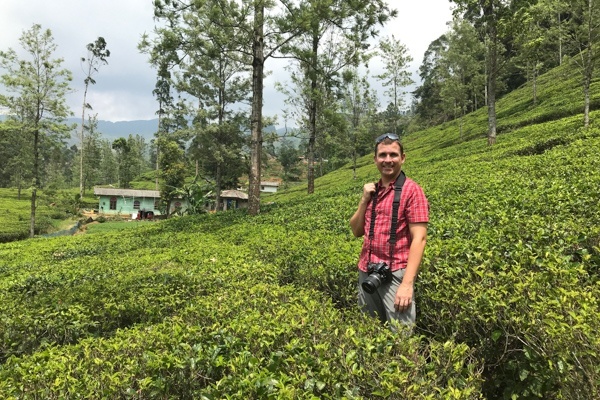 Mark in den Teeplantagen in der Nähe von Nuwara Eliya