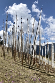 85EB3C99 DBD3 45D1 8F67 2B1DBFB72532