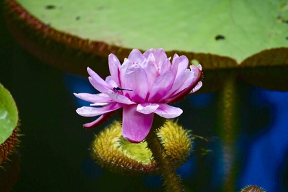 3C1B4F15 C97A 4B5E AB56 1F0828A67659