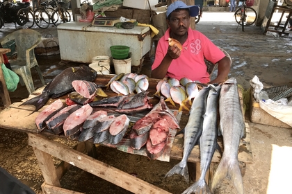 AE405407 4E71 4727 AD58 63DE90CAAA52