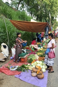 31290EE8 1467 4F5C 8765 15418EC90501