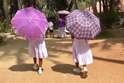 D34CDC93 79AF 43E9 A76F 6A12CDA9E7E6