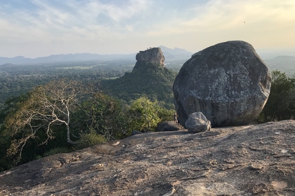 F0D69CCB 88B4 4FBF 8FBA 44D1710ECF0E