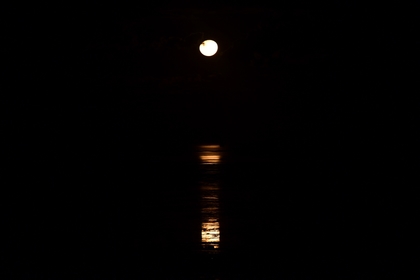 6F309E5A 203C 490F 8DF4 0B5ACAB771DF