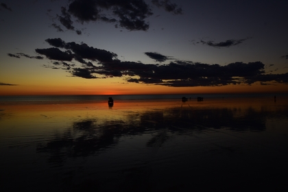 6F309E5A 203C 490F 8DF4 0B5ACAB771DF