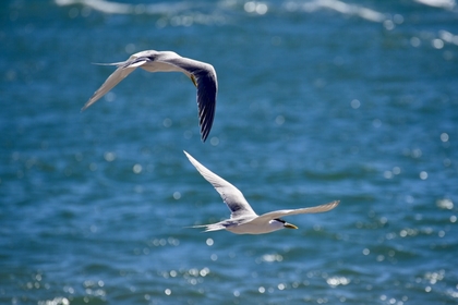 84699966 D35C 4CAF BE9D 8BA2D5AF703B