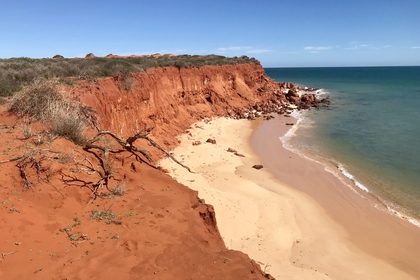 84699966 D35C 4CAF BE9D 8BA2D5AF703B