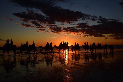 6F309E5A 203C 490F 8DF4 0B5ACAB771DF