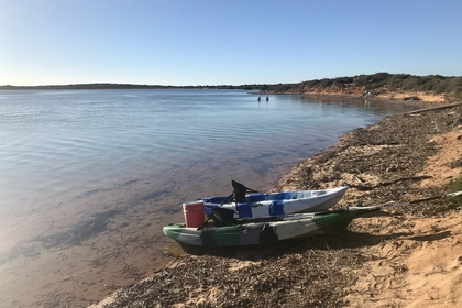 84699966 D35C 4CAF BE9D 8BA2D5AF703B