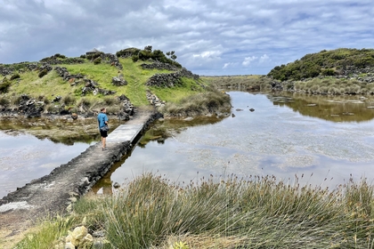 23CDEE10 B9D5 4F3A BEFC 22A73D78961A