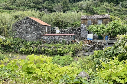 2D4128E9 9675 49B2 885D EDB383CF03A7