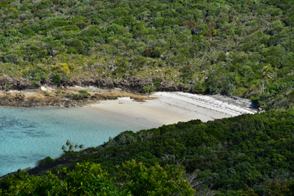 Airlie Beach und Whitsundays 49