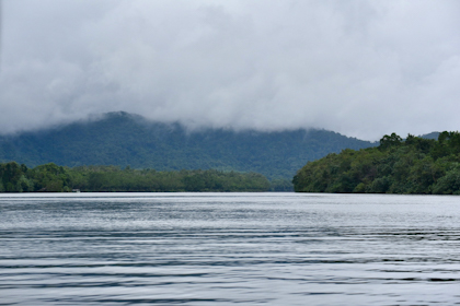 Daintree Nationalpark 02