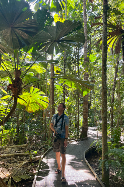 Daintree Nationalpark 101