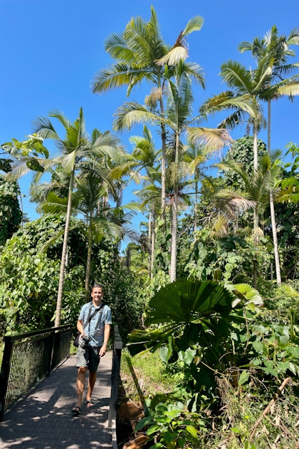 Daintree Nationalpark 108