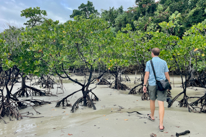 Daintree Nationalpark 22