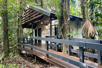 Daintree Nationalpark 31