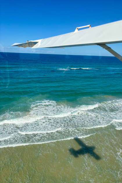 Fraser Island 114