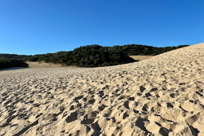 Fraser Island 18