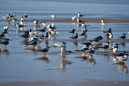 Fraser Island 78