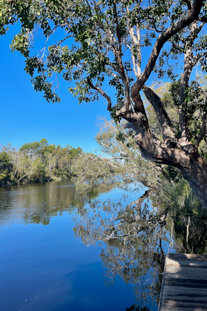 Noosa Everglades 54