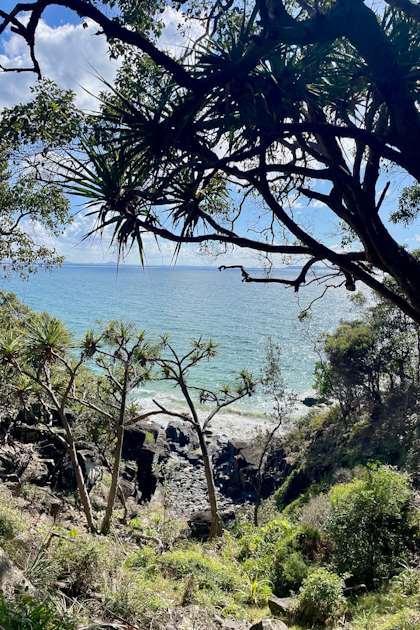 Noosa Nationalpark 51