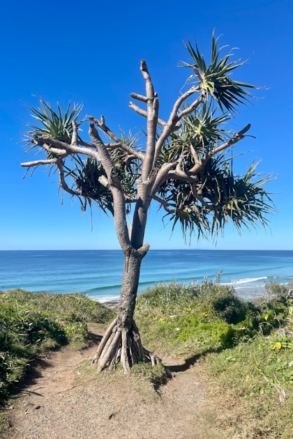 Peregian Beach 29