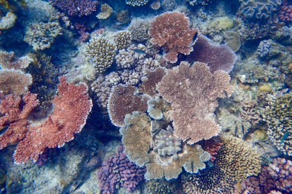 Port Douglas und Great Barrier Reef 28