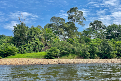 Ulu Temburong Nationalpark 06