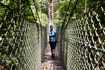 Ulu Temburong Nationalpark 14