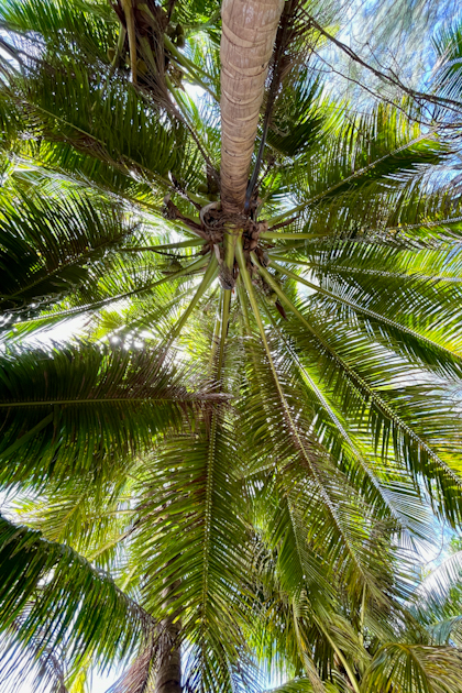 Aitutaki 255