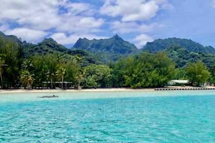Rarotonga 116