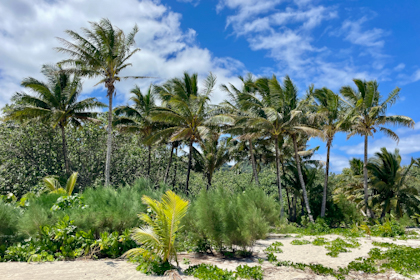 Rarotonga 119