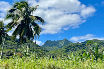 Rarotonga 121