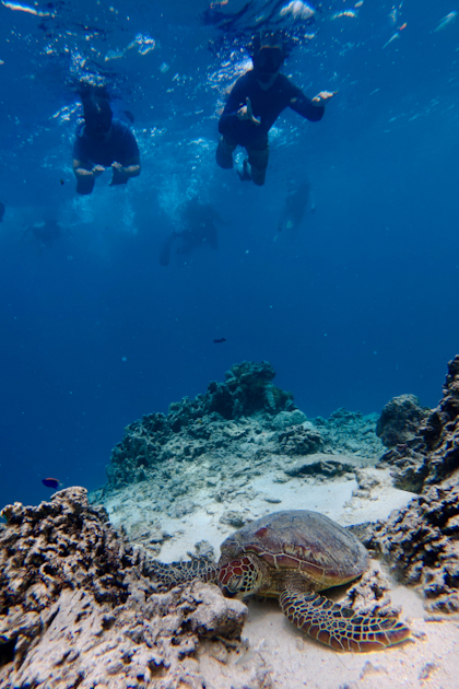 Rarotonga 142