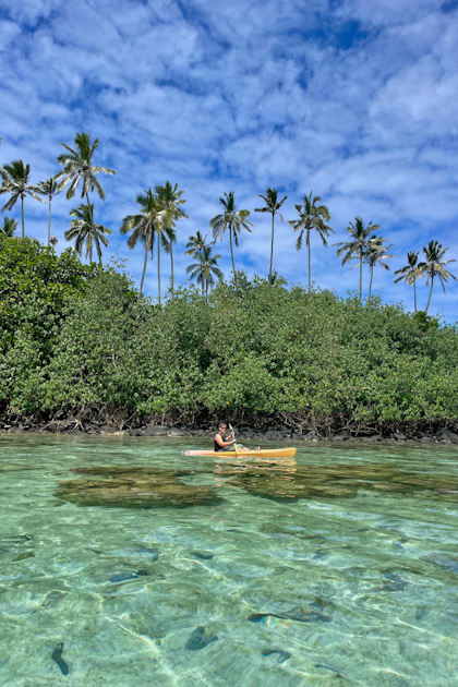 Rarotonga 167