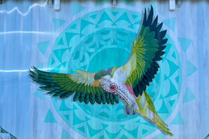 Rarotonga 215