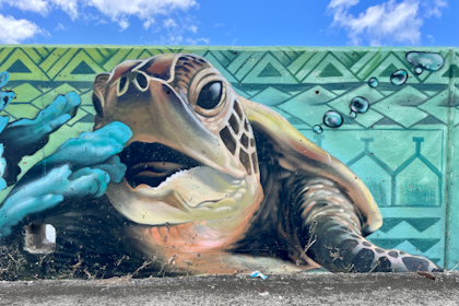 Rarotonga 221