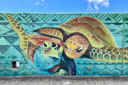 Rarotonga 222