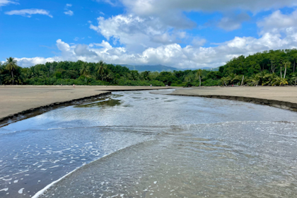 Uvita 37