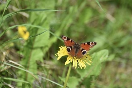 0C3F585D ADDF 445B 8D4D B1D68D4B9CA2