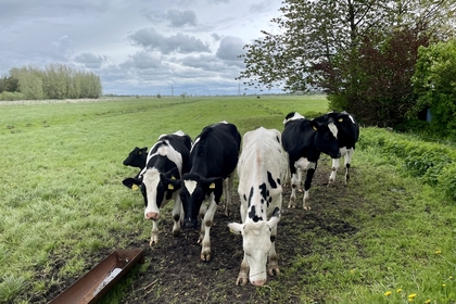 3267AD57 91DB 4288 BFA0 08E7E2831C70