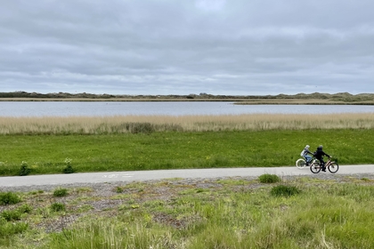 D969D46D 3CF7 4356 A5BB D9EEC492B668