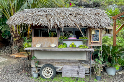 Bora Bora 105