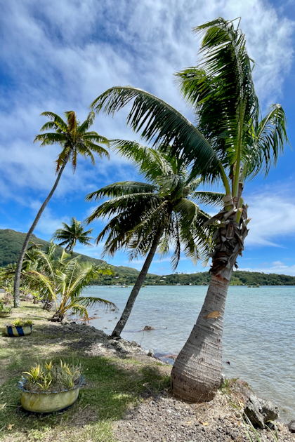 Bora Bora 182