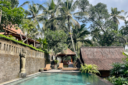 Reisterrassen Ubud 51