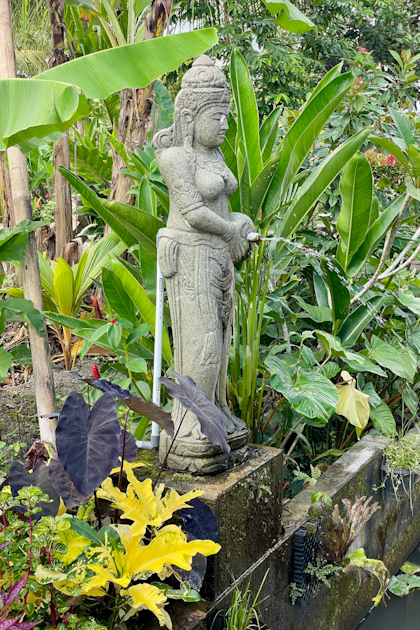 Reisterrassen Ubud 64