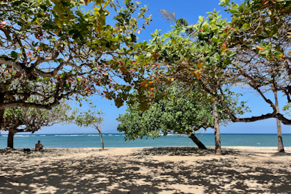 Sanur und Flug nach Flores 16