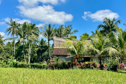 Ubud 17