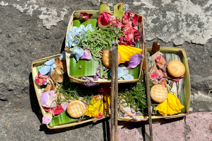 Ubud 35